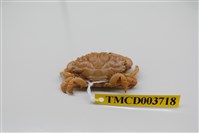 藏品(肉球皺蟹)的圖片